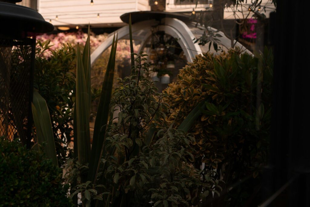 a view of a house through some bushes
